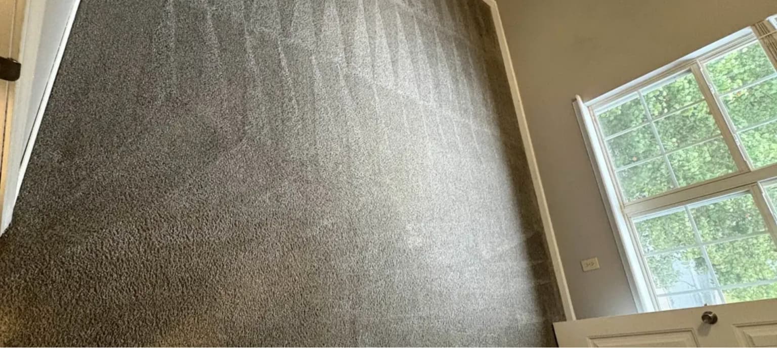 Carpet cleaning in Arcadia Lakes, SC