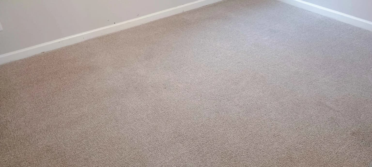 Carpet cleaning in Arthurtown, Columbia, SC
