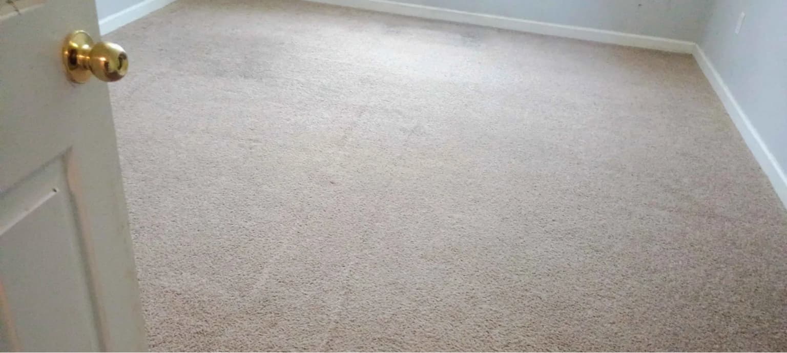 Carpet cleaning in Blythewood, SC