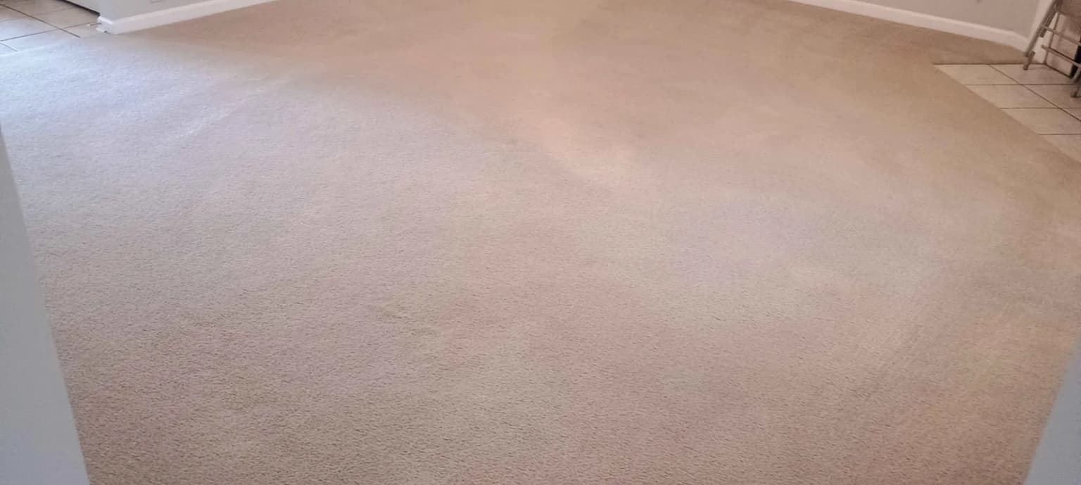 Carpet cleaning in Capitol View, Columbia, SC