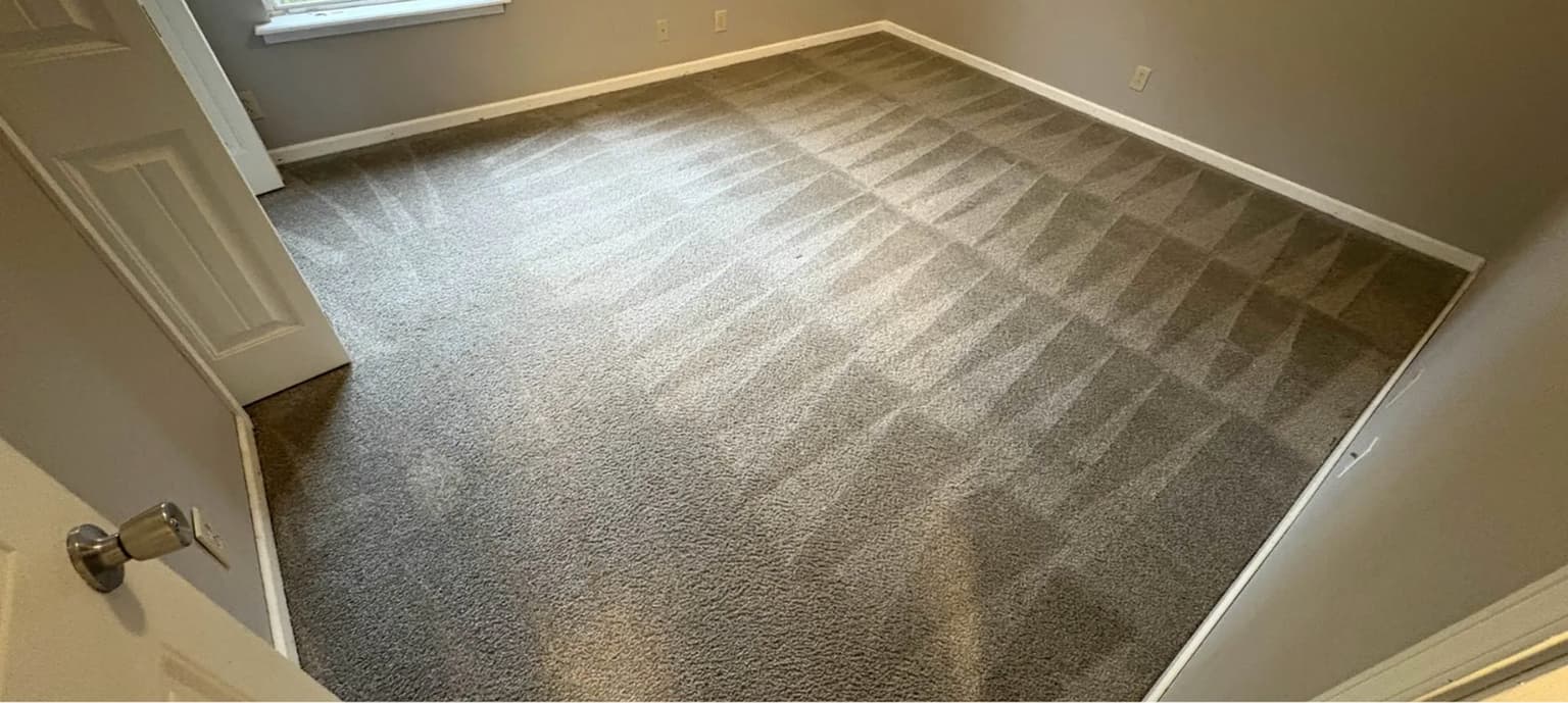 Carpet cleaning in Chapin, SC