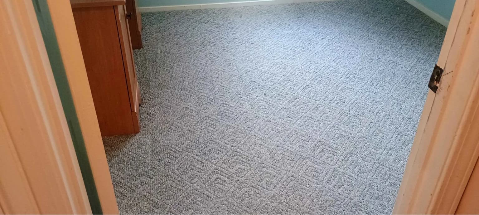 Carpet cleaning in Dentsville, SC