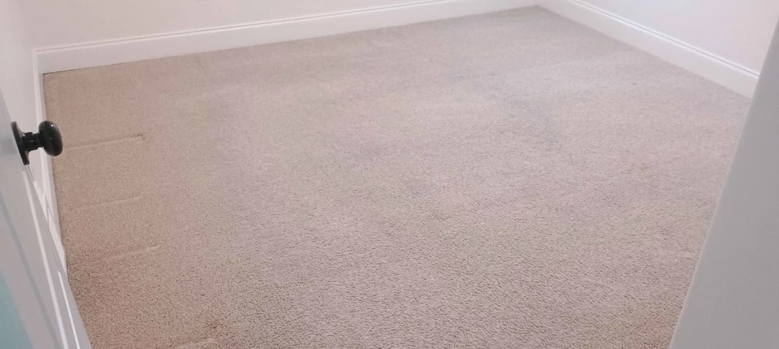 Carpet cleaning in Earlewood, Columbia, SC