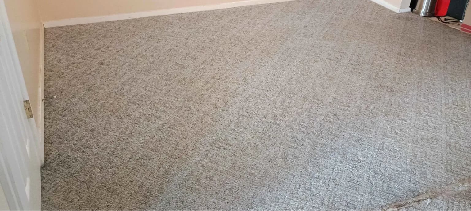 Carpet cleaning in East Columbia, SC