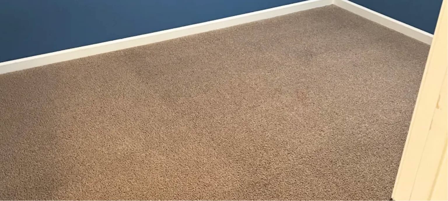 Carpet cleaning in Forest Acres, SC