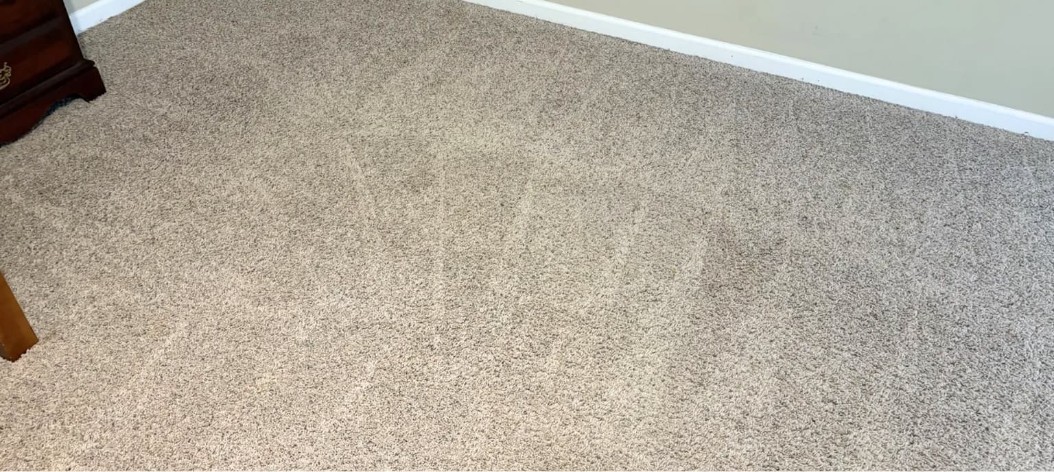 Carpet cleaning in Hopkins, SC