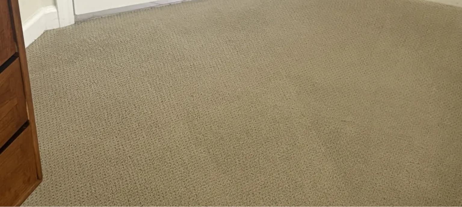 Carpet cleaning in Lexington, SC