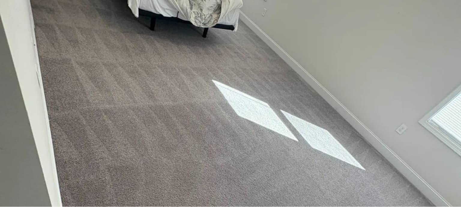 Carpet cleaning in Seven Oaks, SC