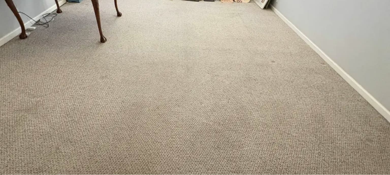 Carpet cleaning in Shandon, Columbia, SC