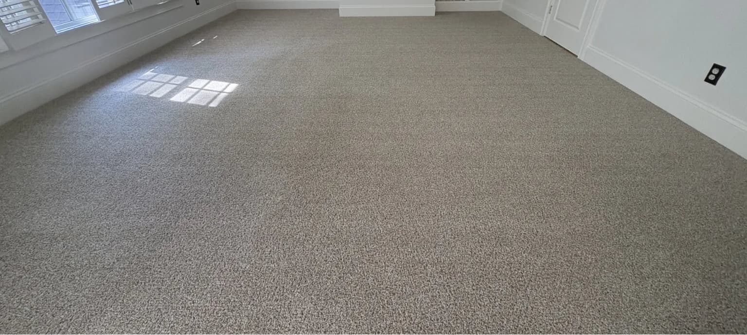 Carpet cleaning in South Congaree, SC