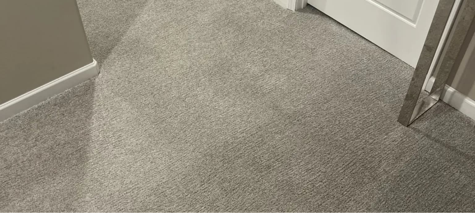 Carpet cleaning in Springdale, SC