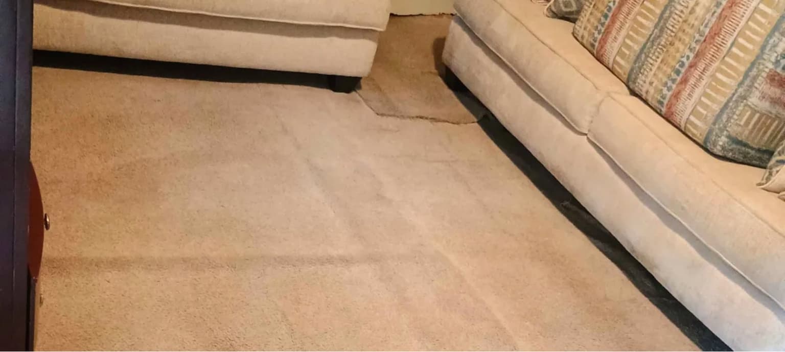 Carpet cleaning in St. Andrews, SC