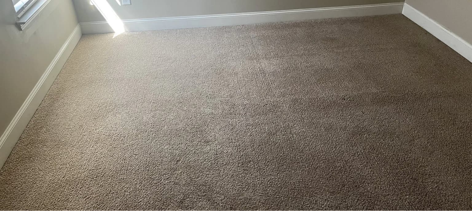 Carpet cleaning in West Columbia, SC