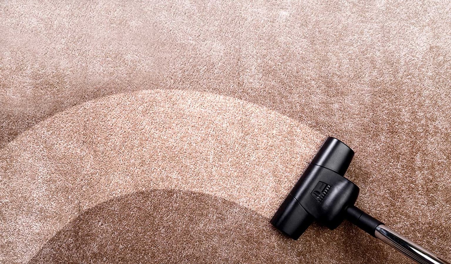 Renting a Carpet Cleaner vs. Professional Cleaning