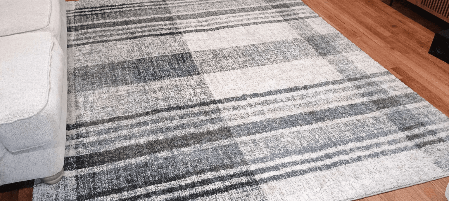 Area Rug Cleaning in Columbia, SC