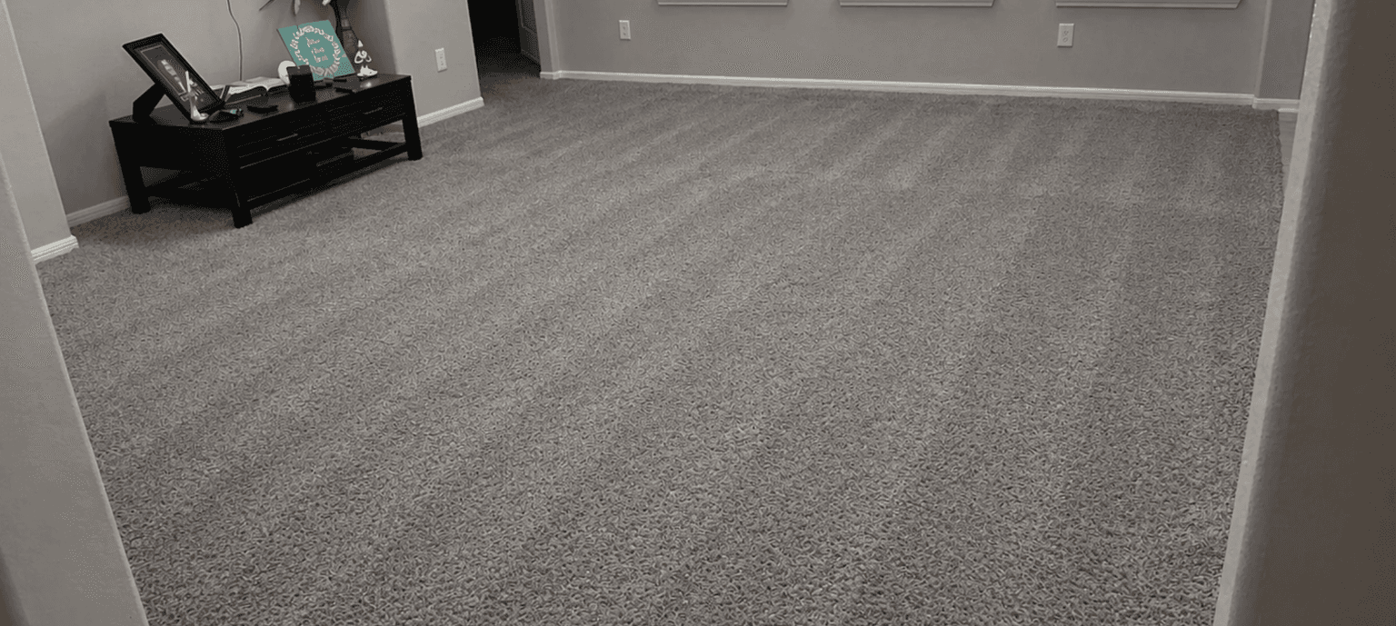 Carpet Cleaning in Columbia, SC