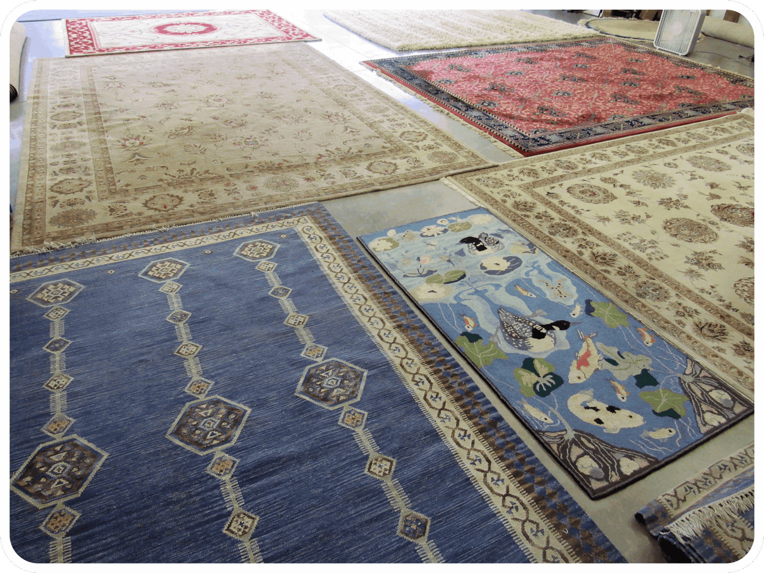 Oriental Rug Cleaning in Columbia, SC