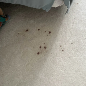 printer ink stains on carpet