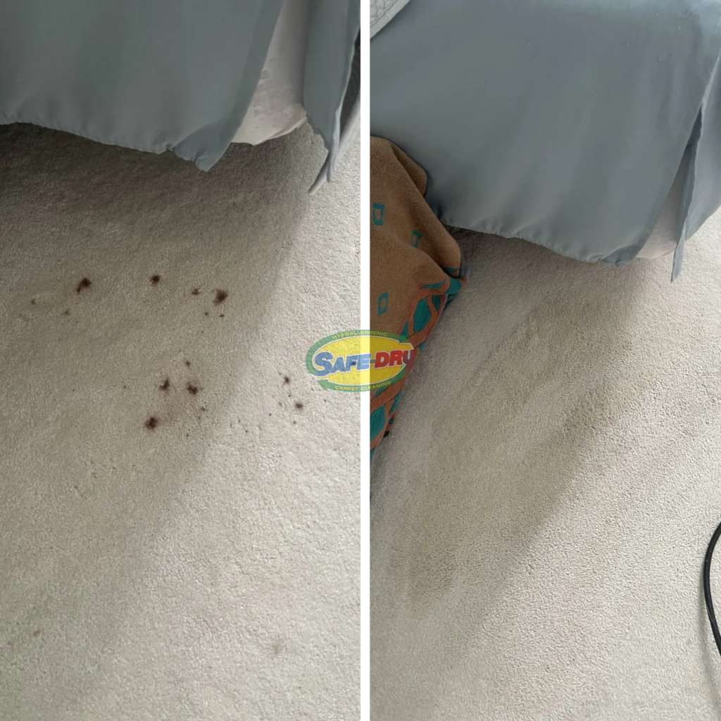 Before and After Carpet Cleaning