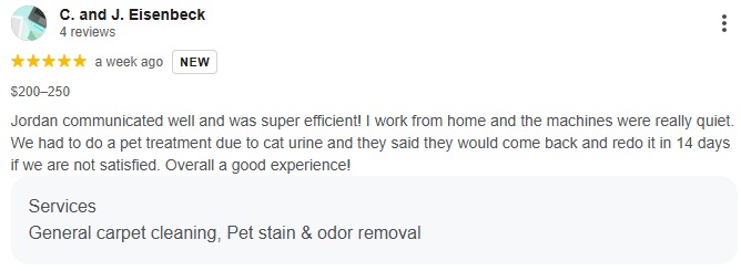 Review for the best carpet cleaning