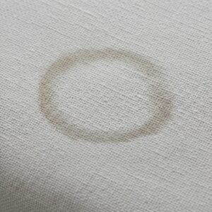 Small Water Ring on Upholstery Fabric